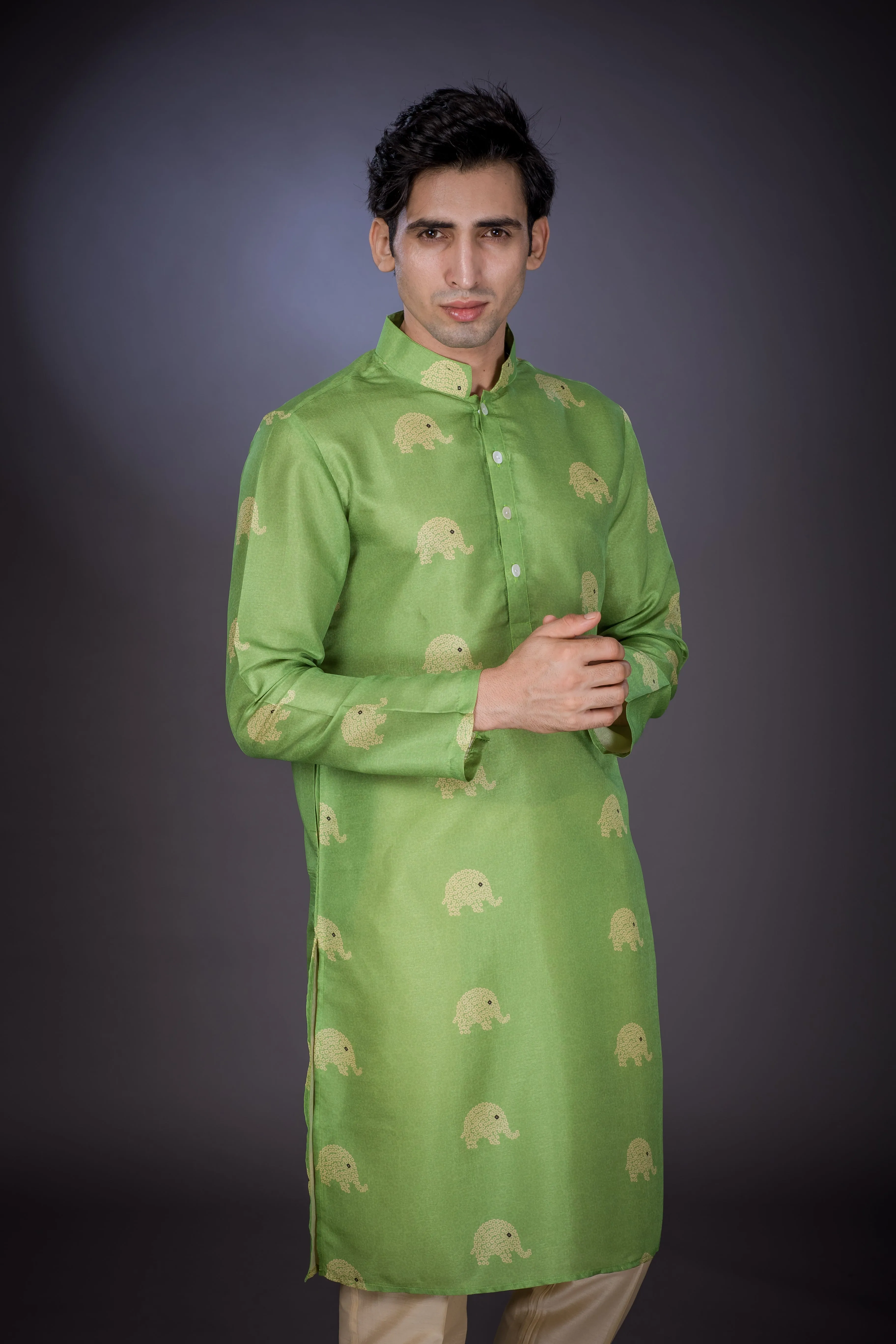 Elephant Line -  Silk Kurta