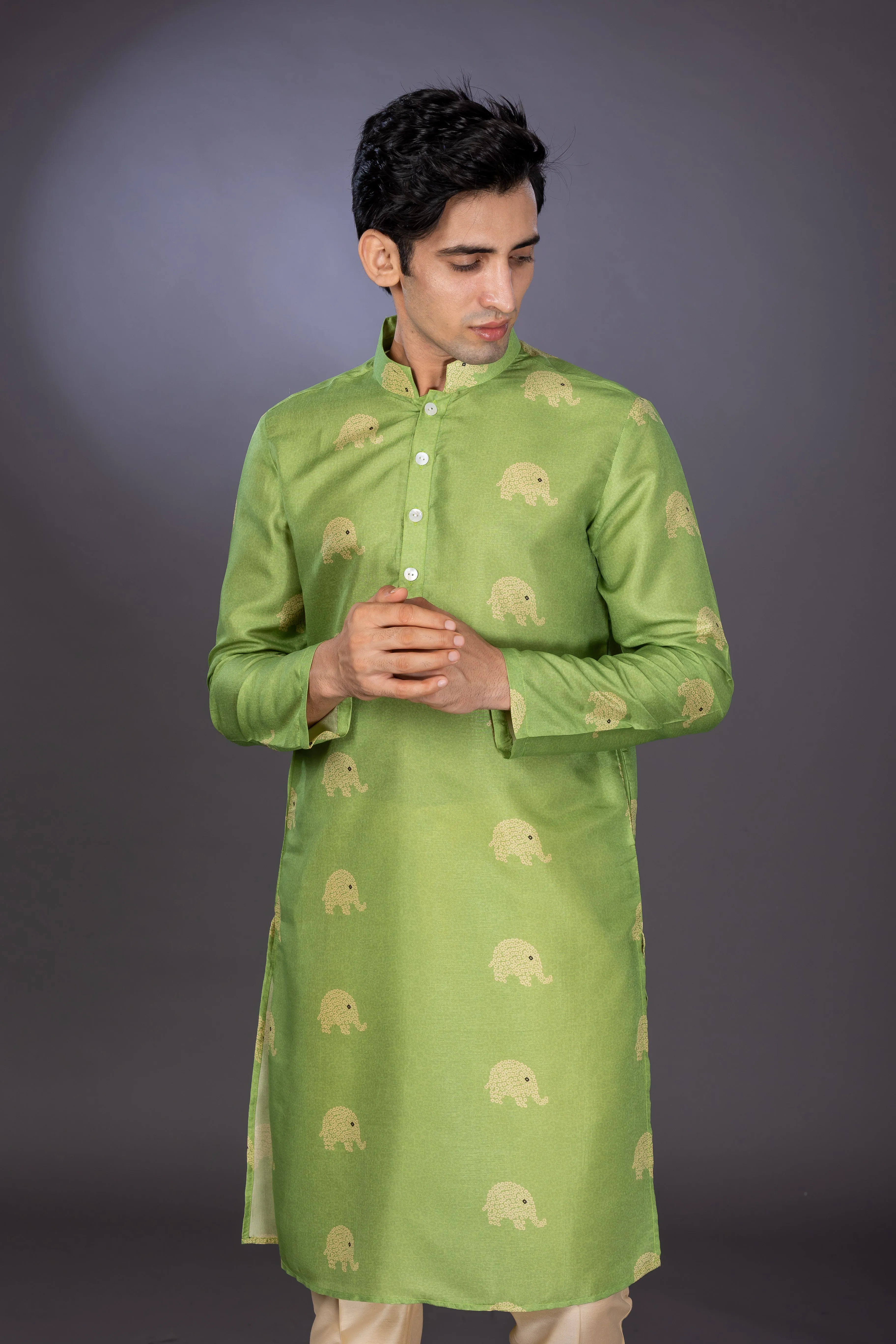 Elephant Line -  Silk Kurta