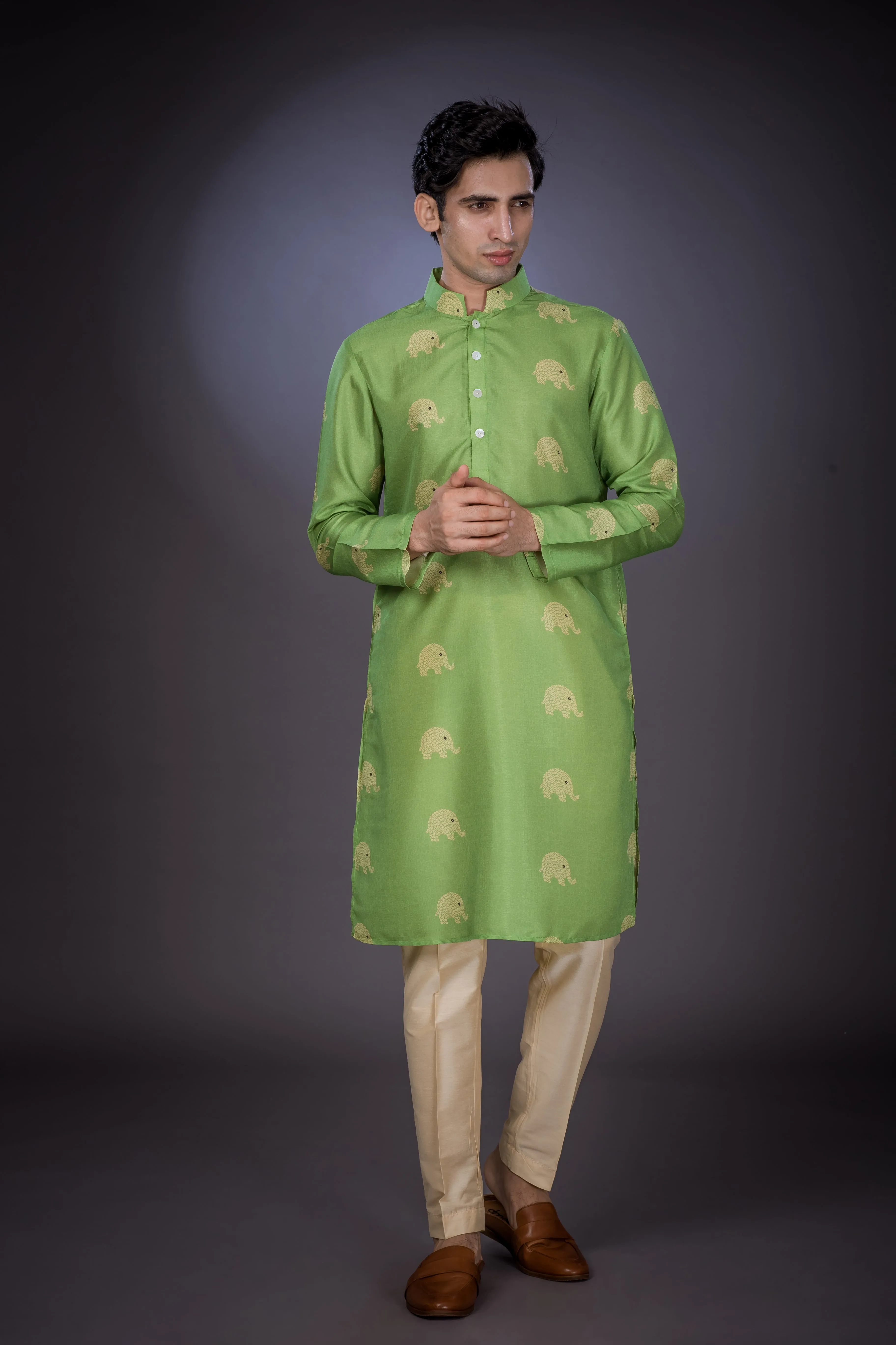 Elephant Line -  Silk Kurta