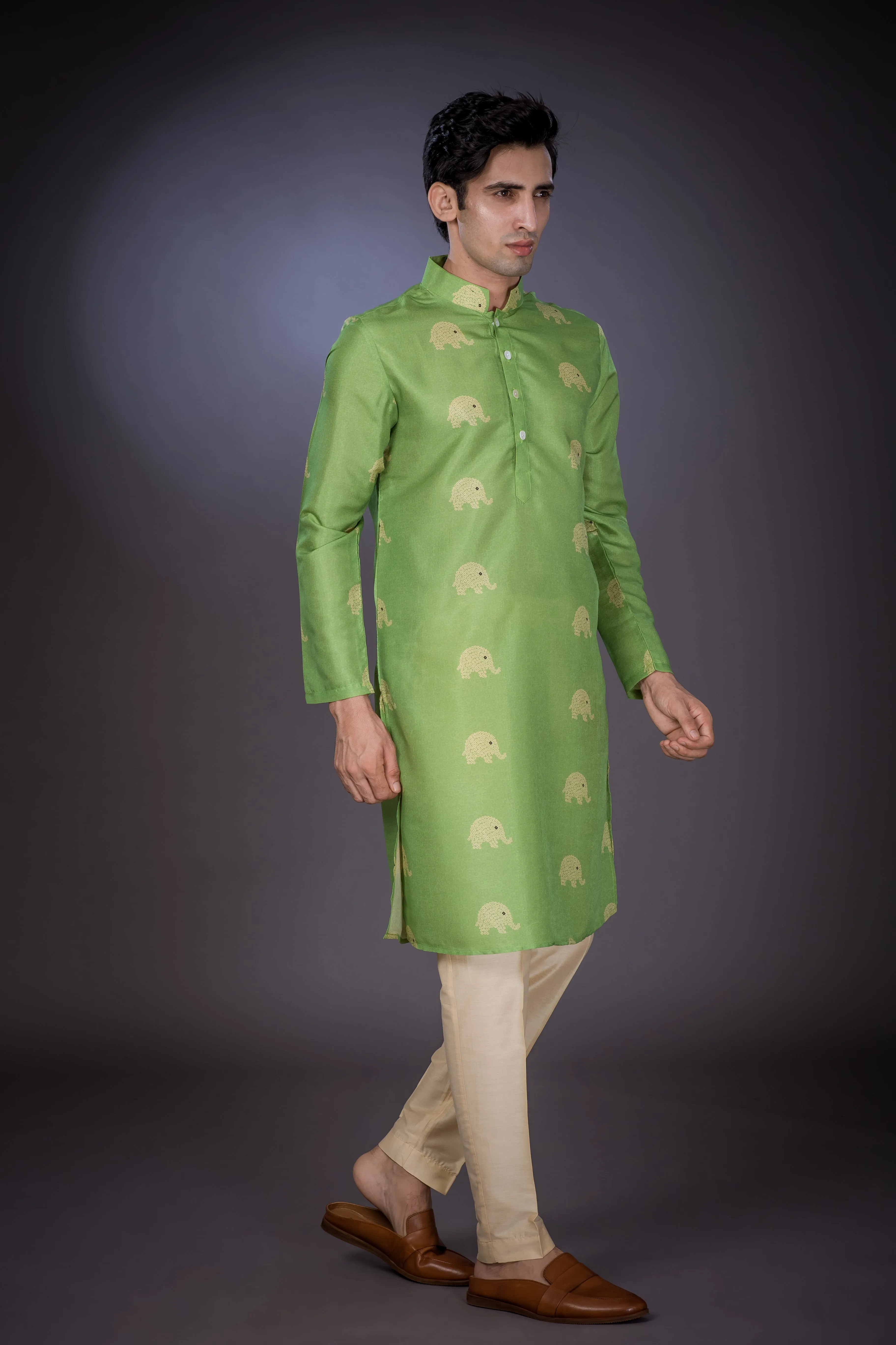 Elephant Line -  Silk Kurta