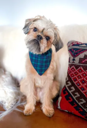 Festive Dog Bandanas