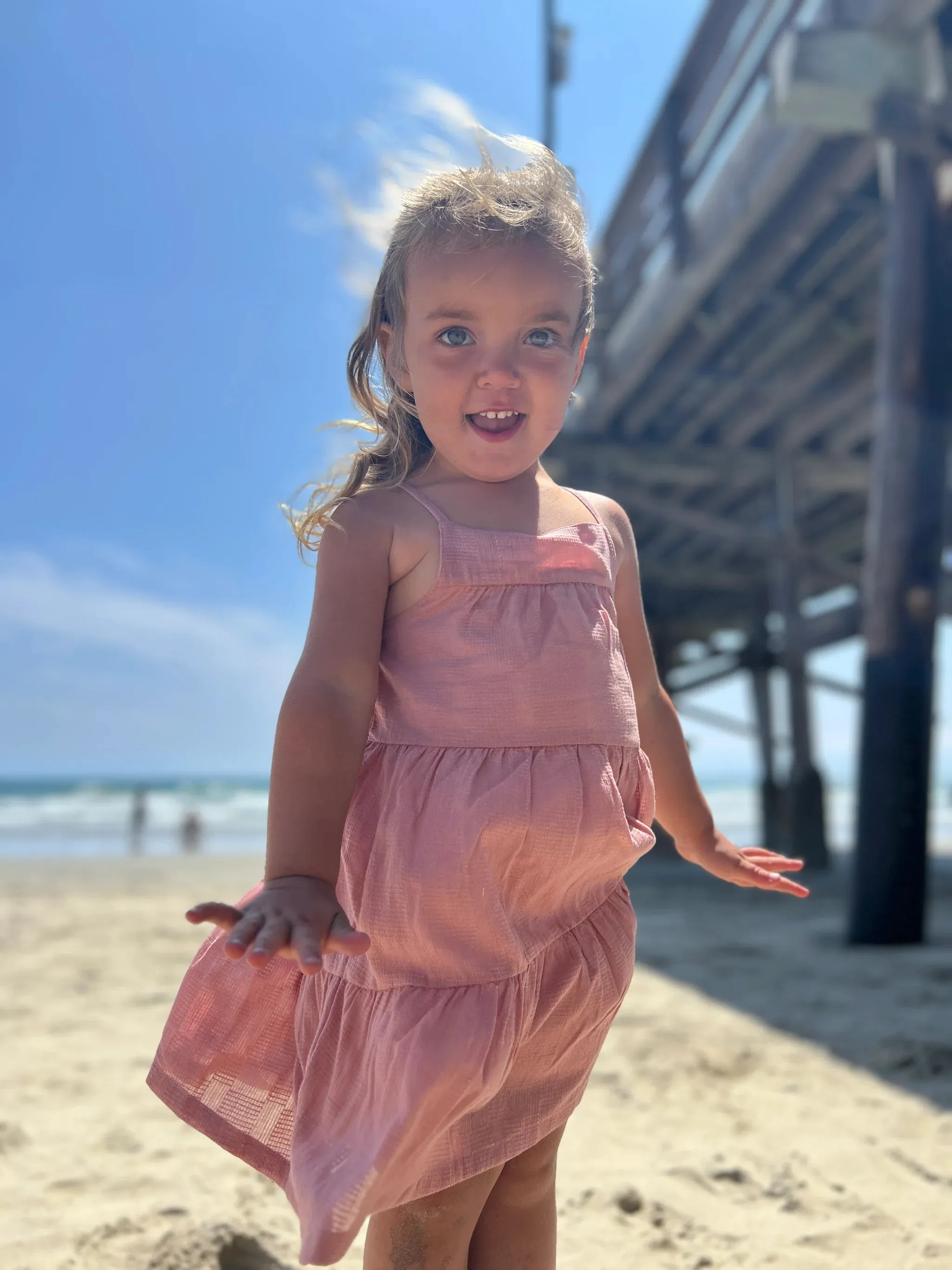 Paula Dress Rose